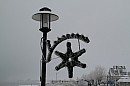 195.jpg 195.jpg