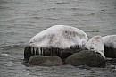 200.jpg 200.jpg