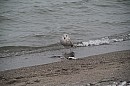 205.jpg 205.jpg