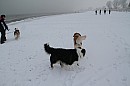 218.jpg 218.jpg
