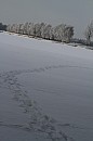 059.jpg