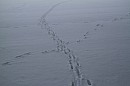 063.jpg