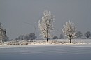 072.jpg