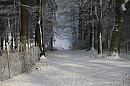 080.jpg